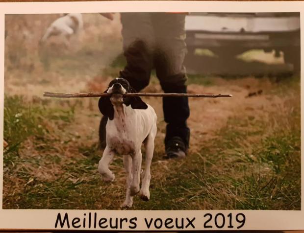 Meilleurs Voeux