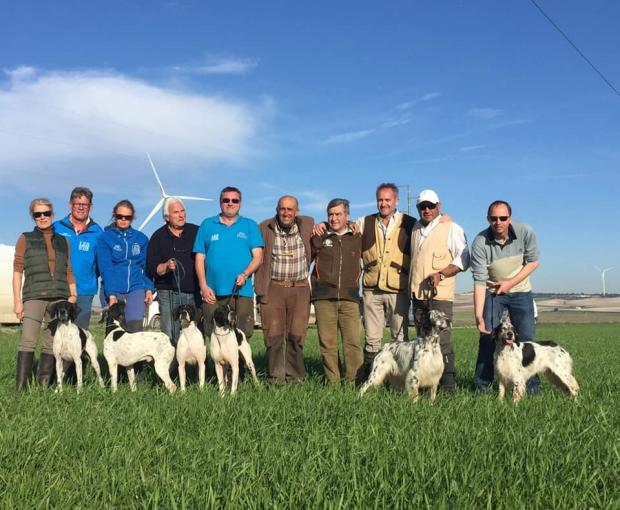 5 chiens classés, CAC pour Lino