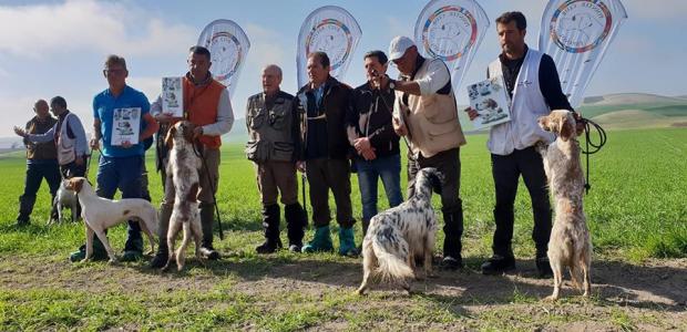 Marley, vice-champion Euro Derby