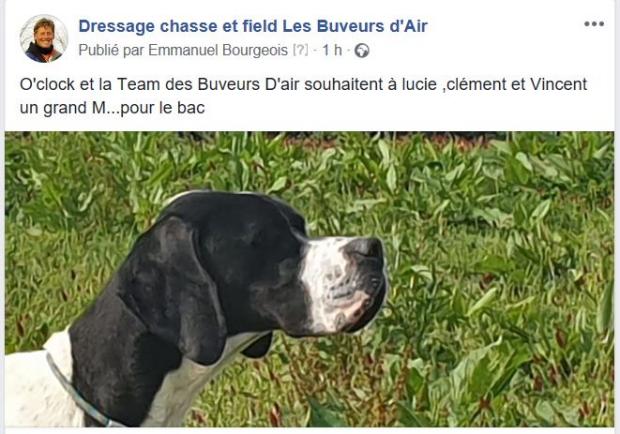Allez les jeunes !