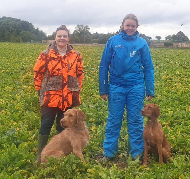 Cormeilles,  Opium et Pil Poil excelents