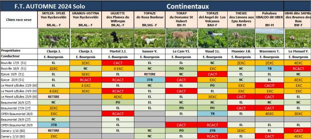 Tableau des résultats