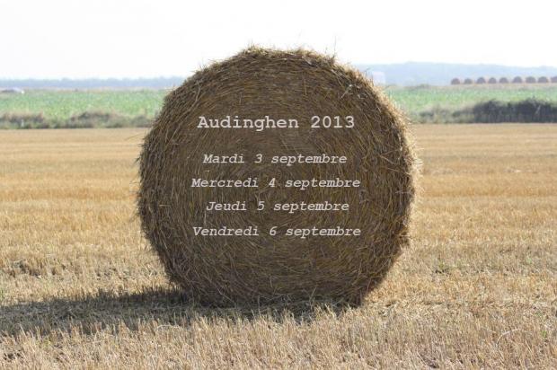 Le field d'Audinghen vu par Ginette