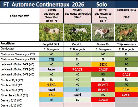 Damery continentaux
