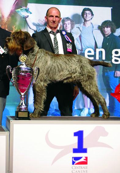 Hugo Boss, meilleur chien du 7ème groupe au championnat de France